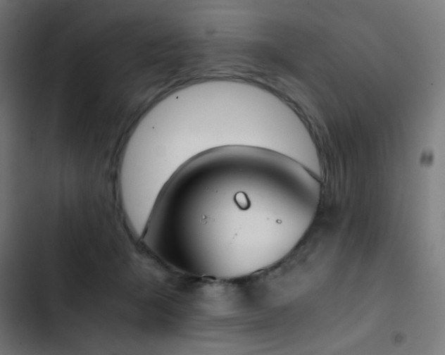 X0000103500415200809121744