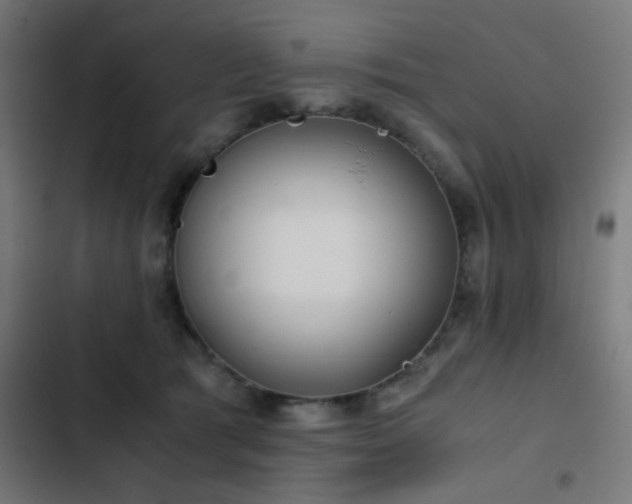 X0000103500417200809121744