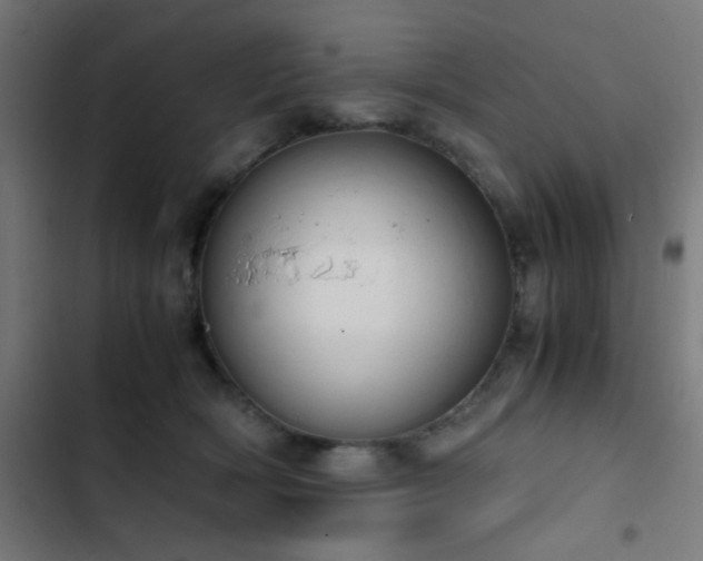 X0000103500418200809121744