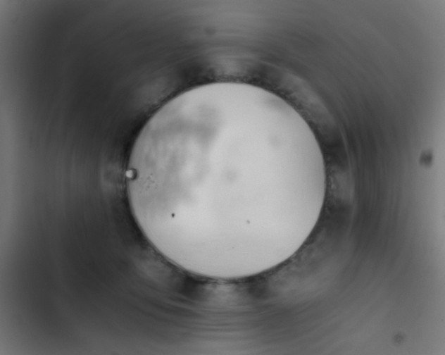 X0000103500419200809121744