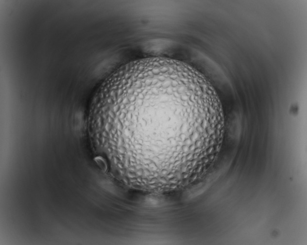 X0000103500420200809121744