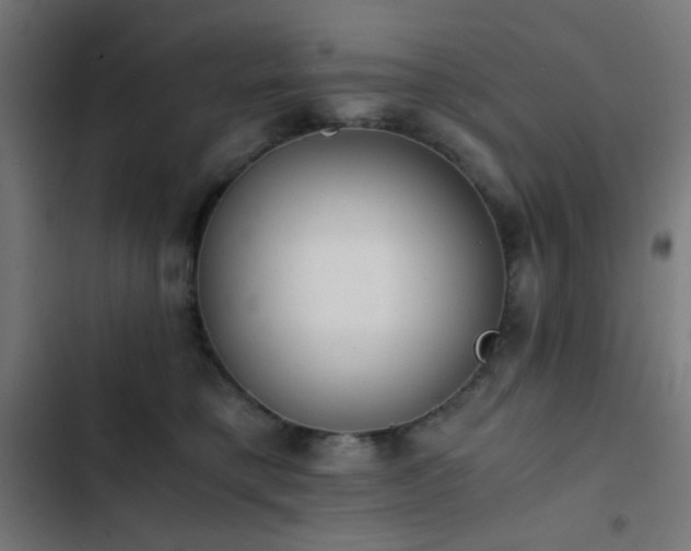 X0000103500421200809121744