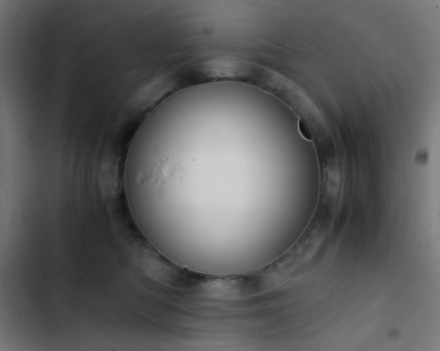 X0000103500422200809121744