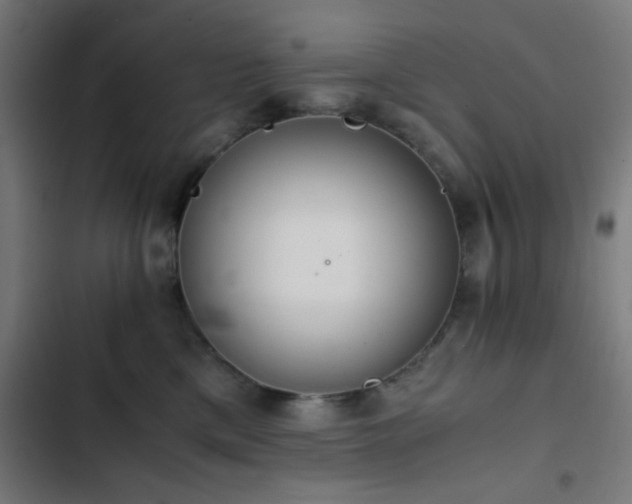 X0000103500425200809121744