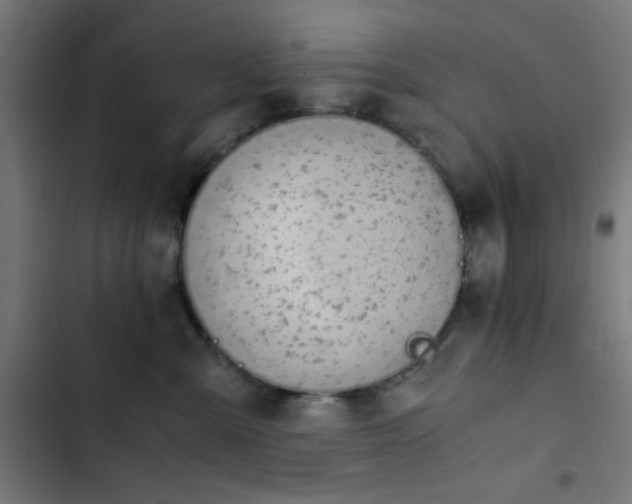 X0000103500427200809121744