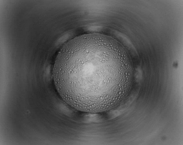 X0000103500428200809121744