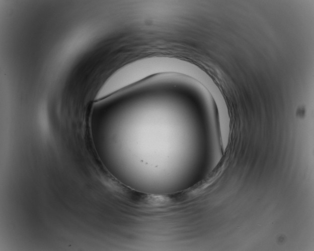 X0000103500429200809121744