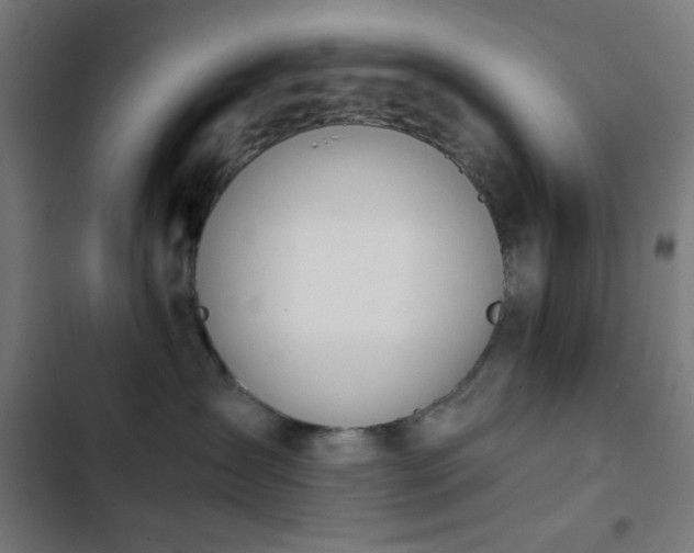 X0000103500431200809121744