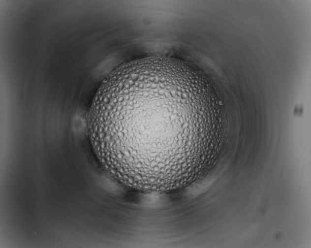 X0000103500432200809121743