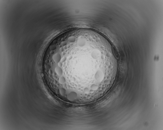 X0000103500433200809121743