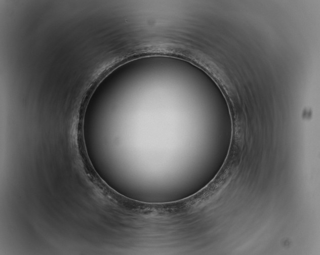 X0000103500434200809121743