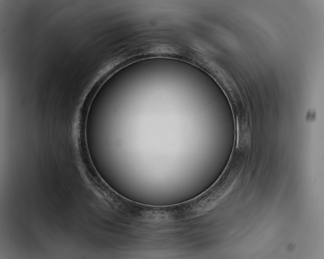 X0000103500435200809121743