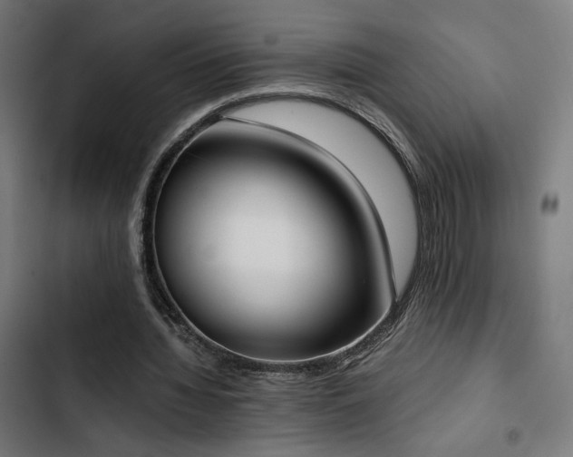 X0000103500436200809121743