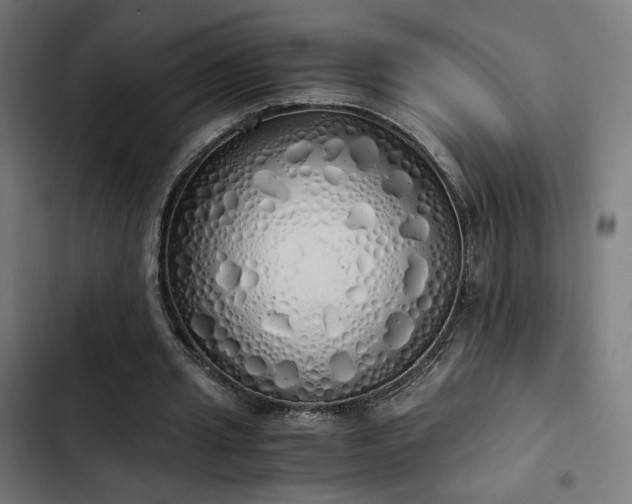 X0000103500437200809121743