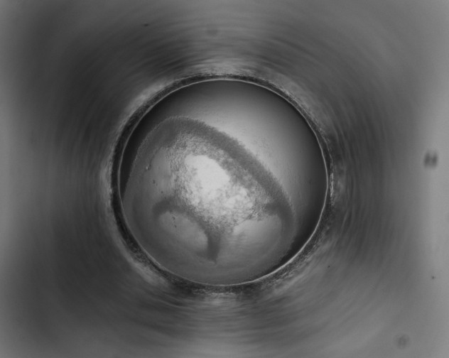 X0000103500438200809121743