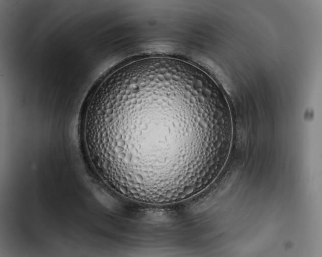 X0000103500439200809121743