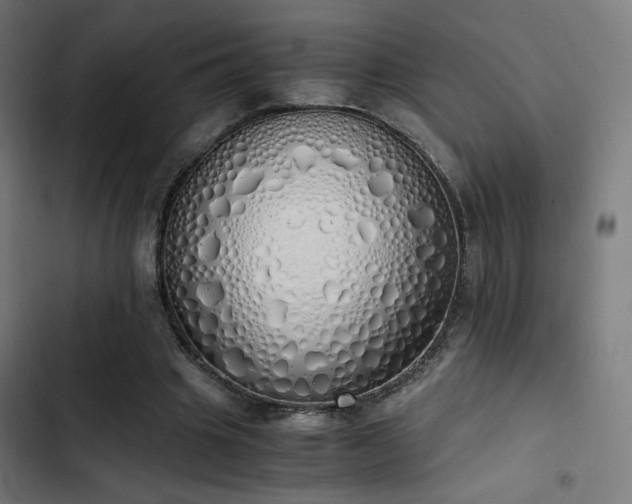 X0000103500441200809121743