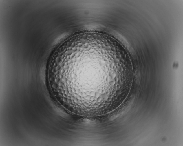 X0000103500442200809121743