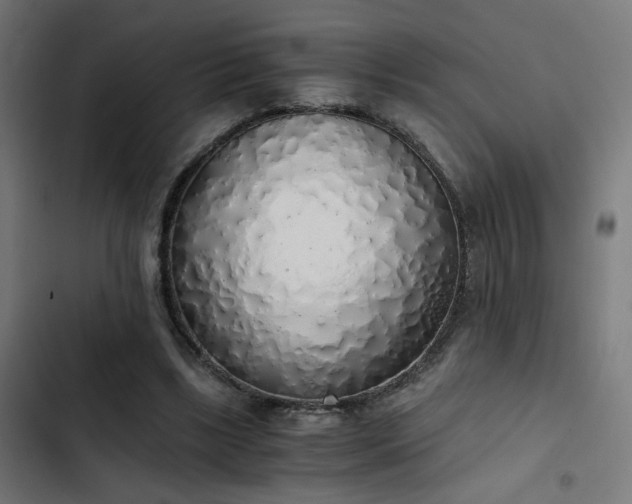 X0000103500443200809121743