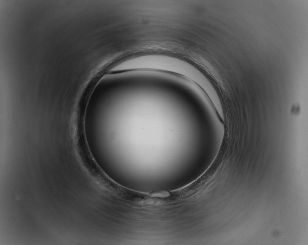 X0000103500444200809121743