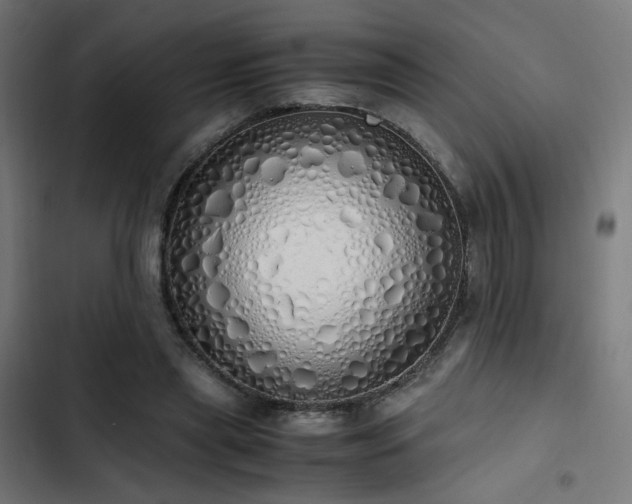 X0000103500445200809121743