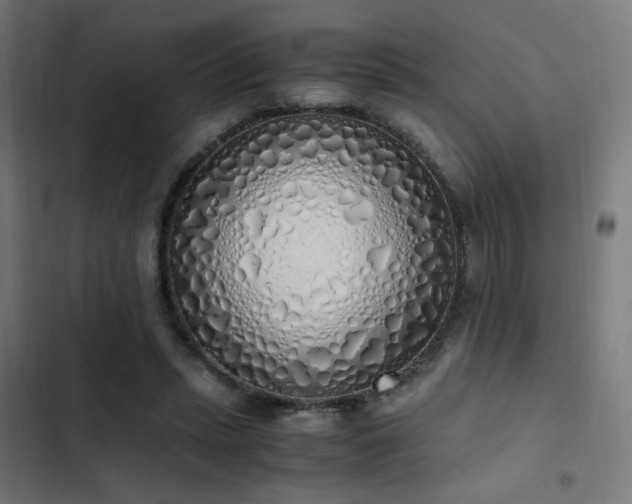 X0000103500447200809121743