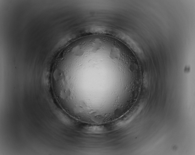 X0000103500449200809121743