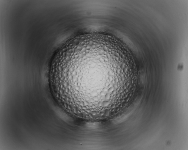 X0000103500450200809121743