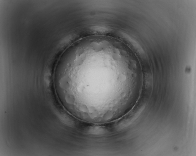 X0000103500451200809121743