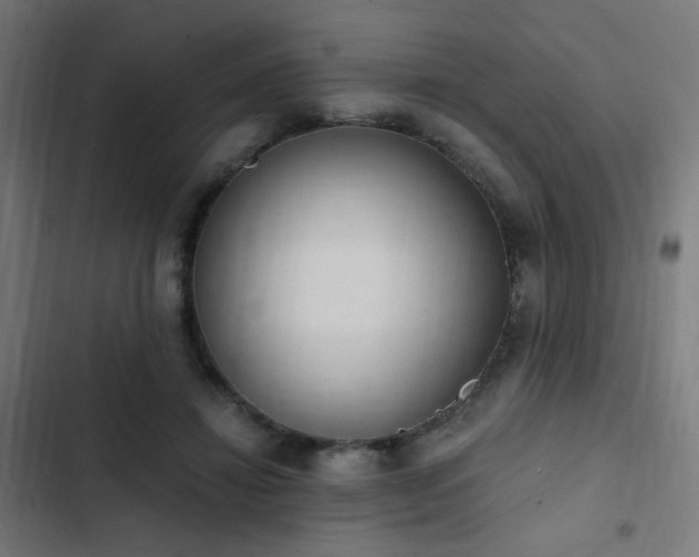 X0000103500452200809121743