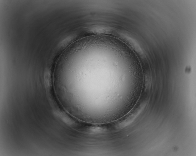 X0000103500453200809121743