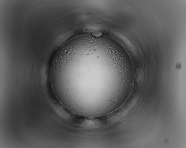 X0000103500455200809121743