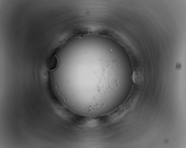 X0000103500456200809121743