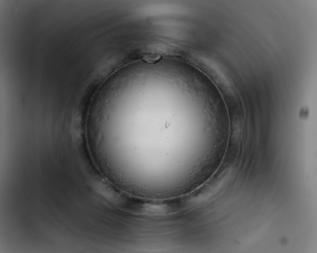 X0000103500457200809121743