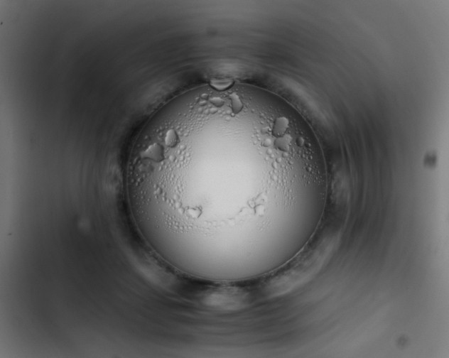 X0000103500459200809121743