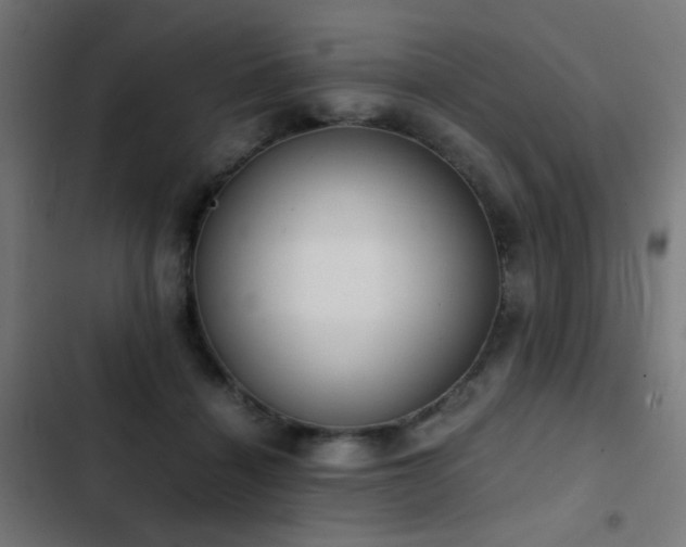 X0000103500460200809121743