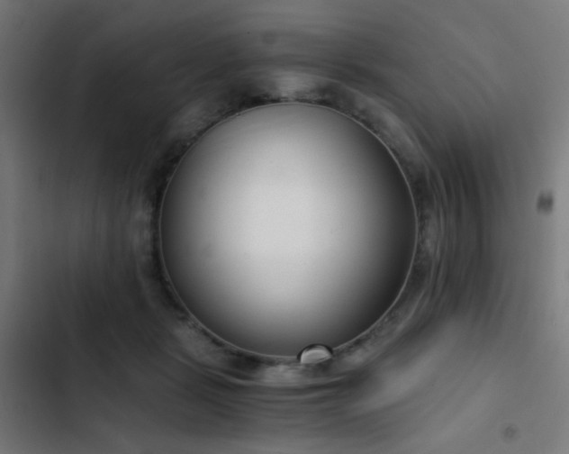 X0000103500461200809121743