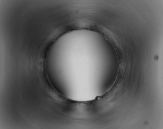 X0000103500462200809121743