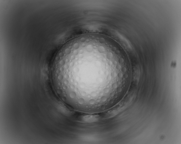 X0000103500465200809121743