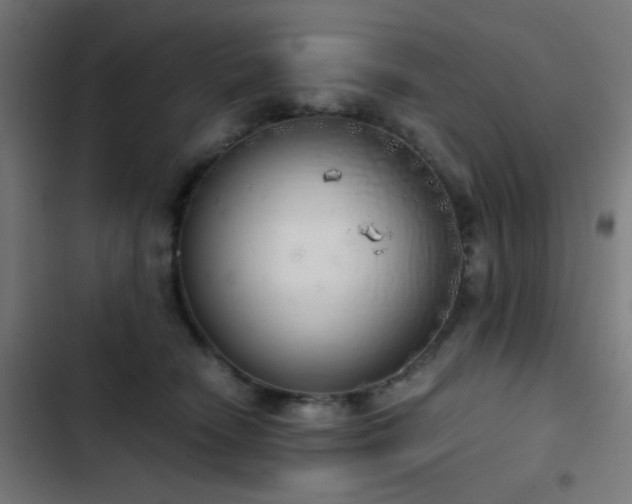 X0000103500466200809121743