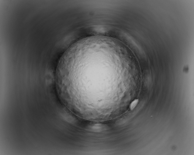 X0000103500467200809121743