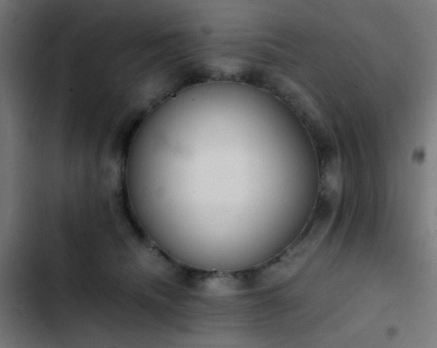 X0000103500468200809121743