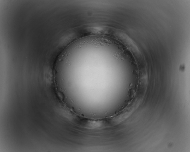 X0000103500469200809121743