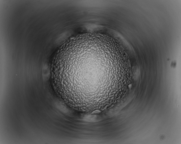 X0000103500471200809121743