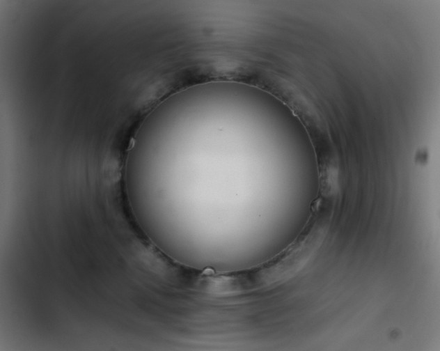 X0000103500472200809121743