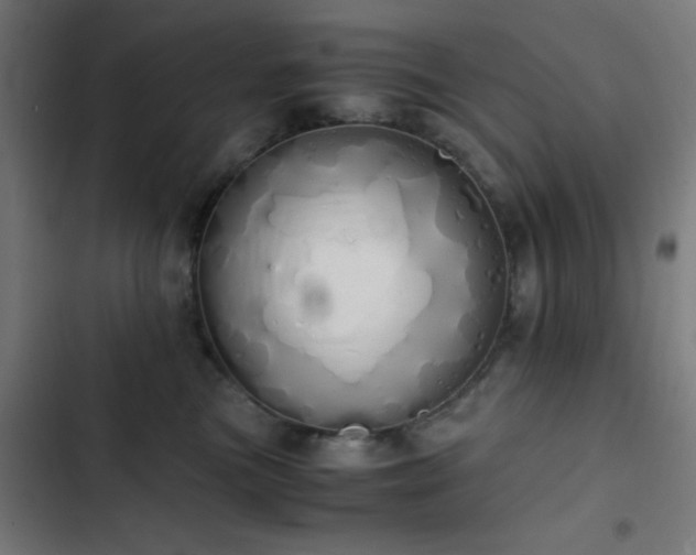 X0000103500473200809121743