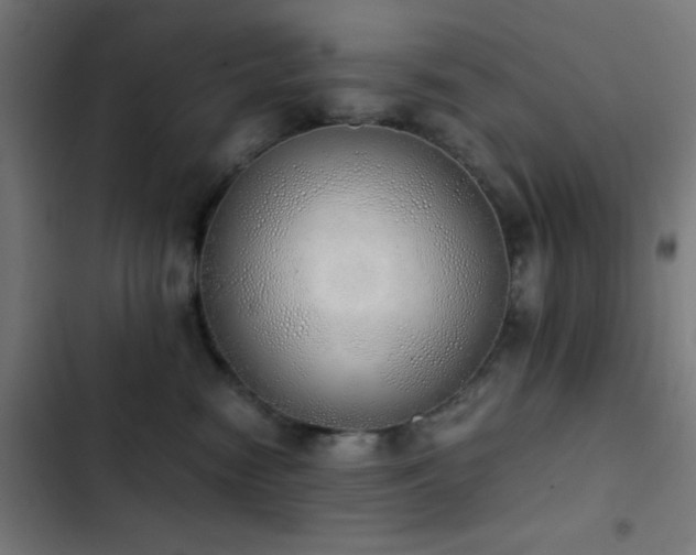 X0000103500474200809121743