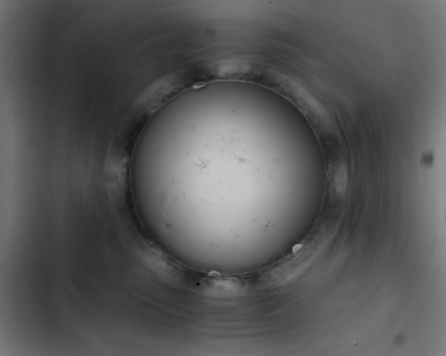 X0000103500475200809121743