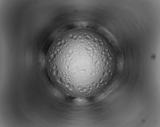 X0000103500477200809121743