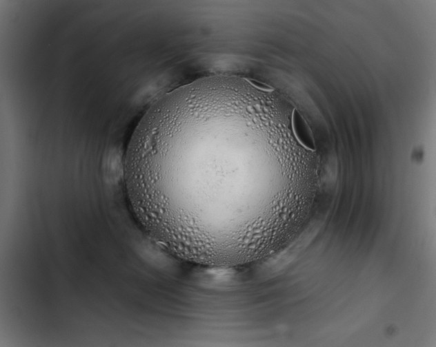 X0000103500478200809121743